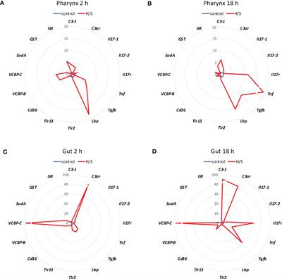 Environmental stress and nanoplastics’ effects on Ciona robusta: regulation of immune/stress-related genes and induction of innate memory in pharynx and gut